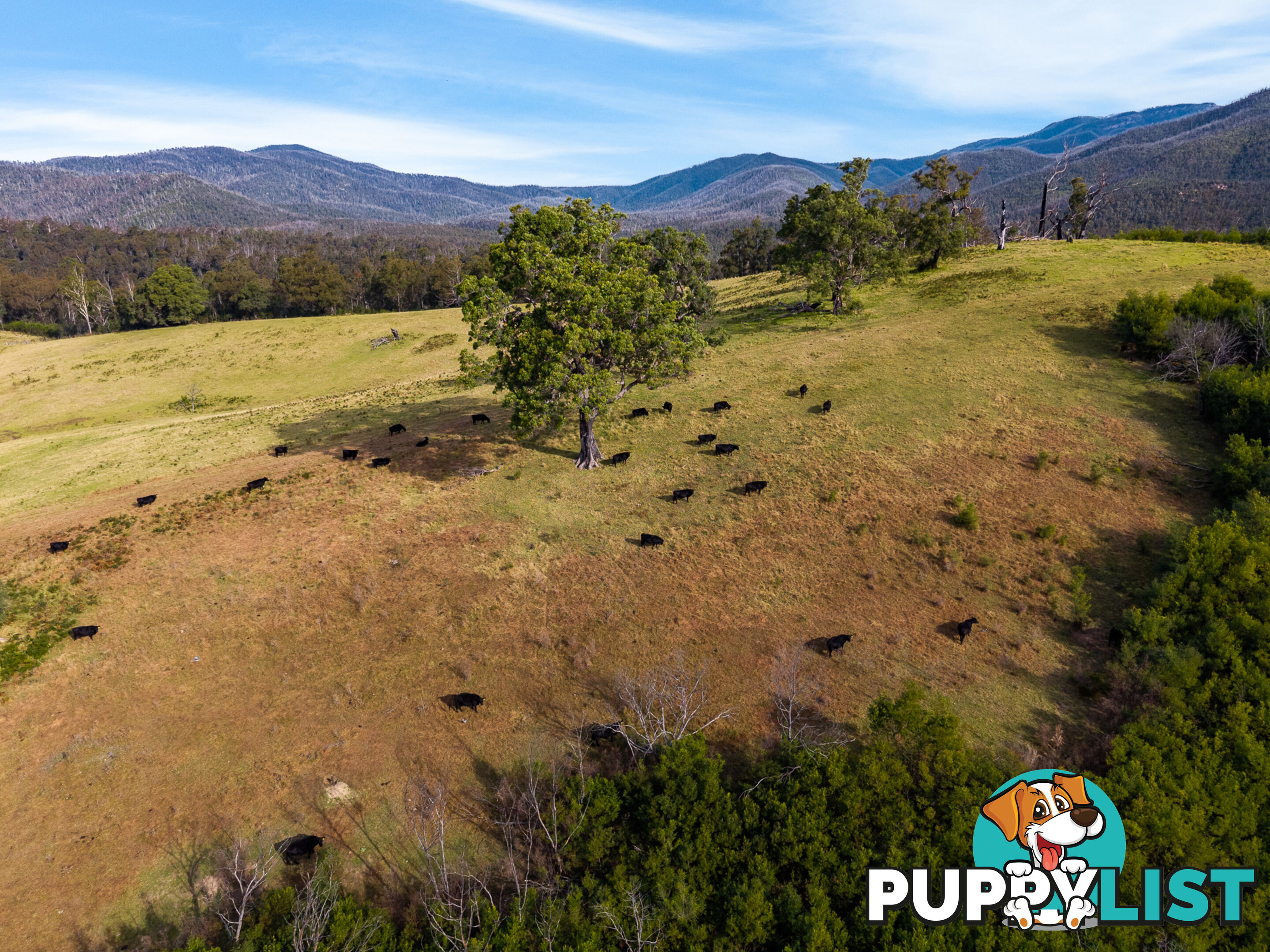 Lot 63 Watts Road COBARGO NSW 2550