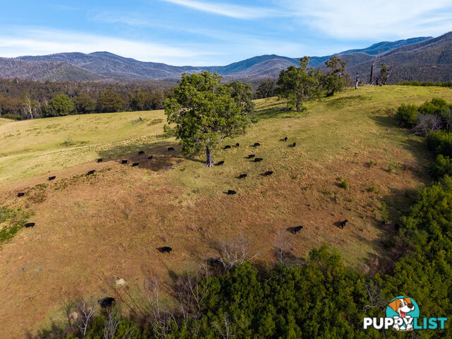 Lot 63 Watts Road COBARGO NSW 2550