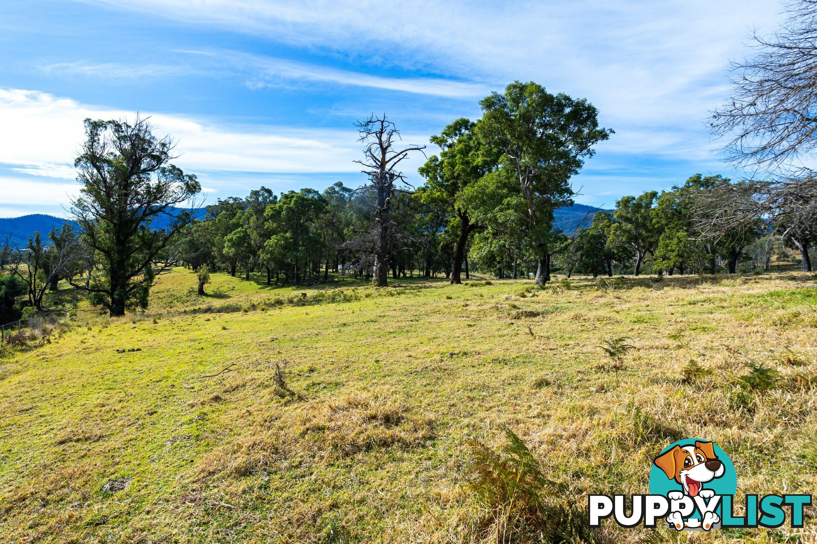 Lot 63 Watts Road COBARGO NSW 2550