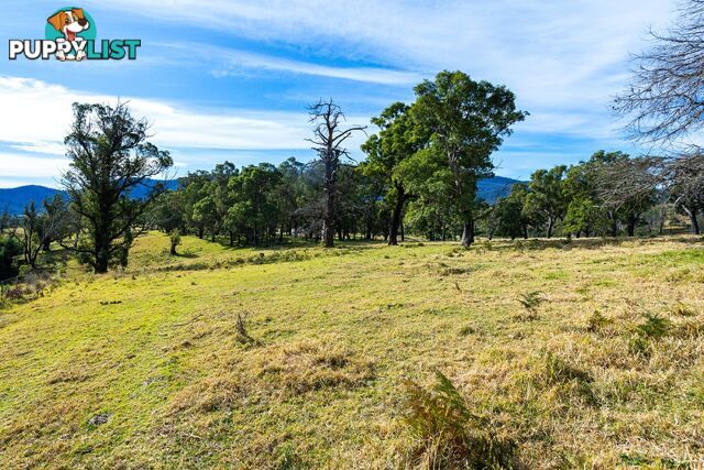 Lot 63 Watts Road COBARGO NSW 2550