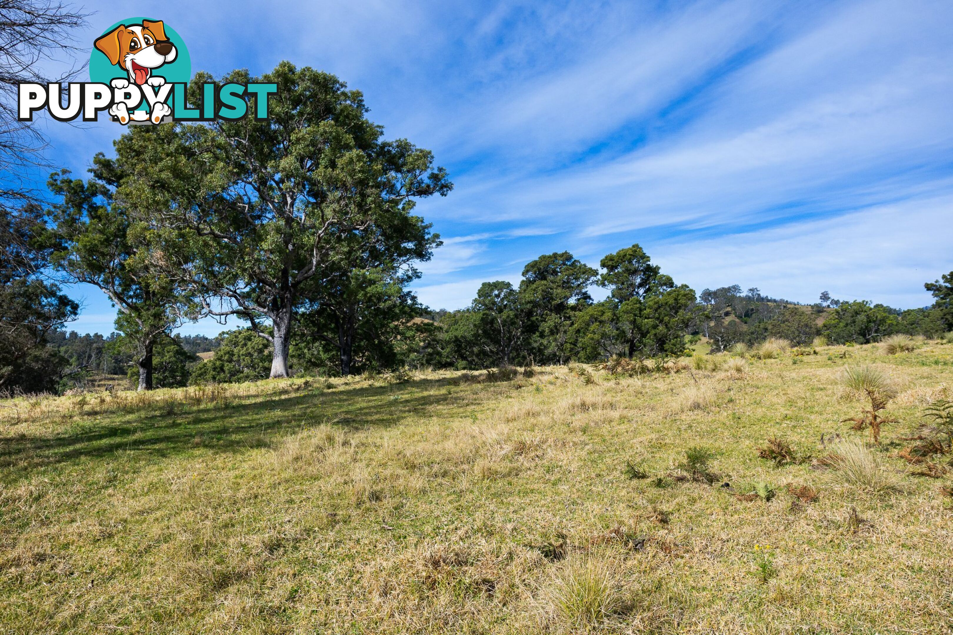 Lot 63 Watts Road COBARGO NSW 2550