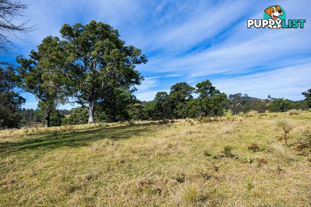 Lot 63 Watts Road COBARGO NSW 2550