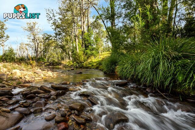 Lot 63 Watts Road COBARGO NSW 2550