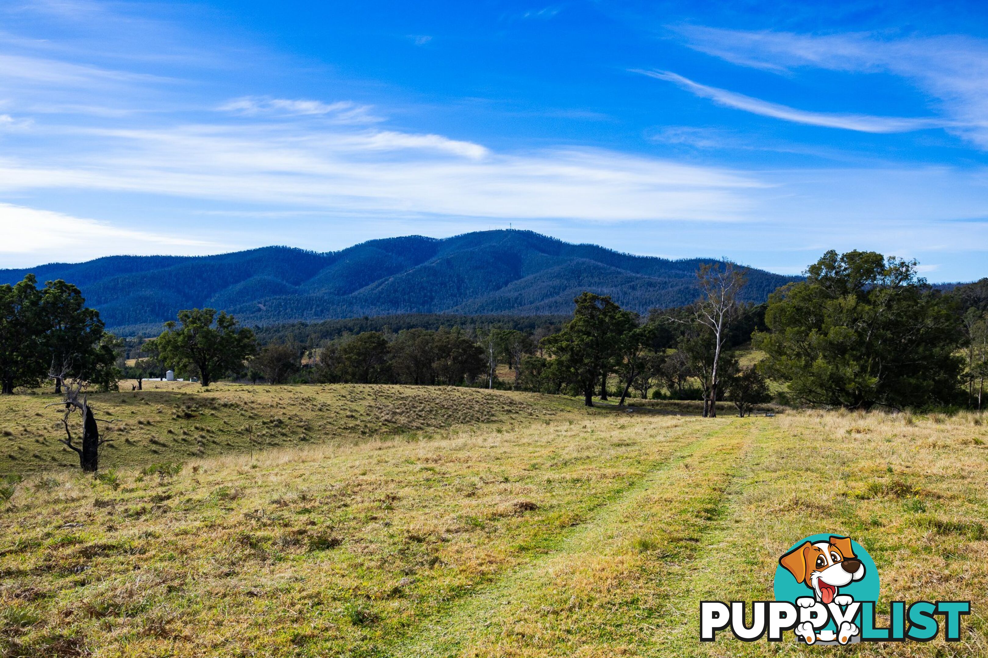 Lot 63 Watts Road COBARGO NSW 2550