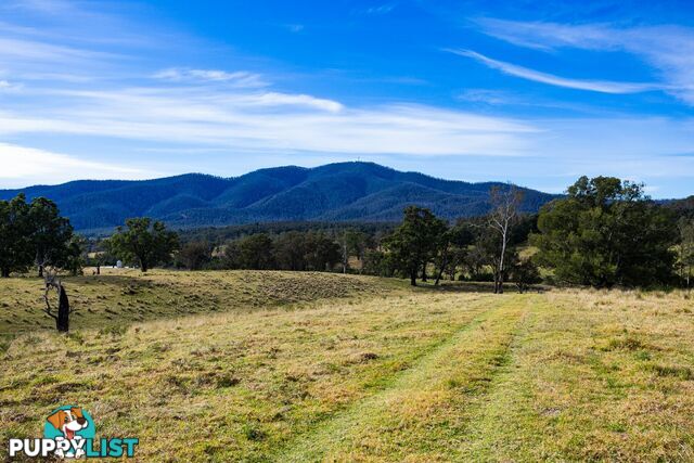 Lot 63 Watts Road COBARGO NSW 2550