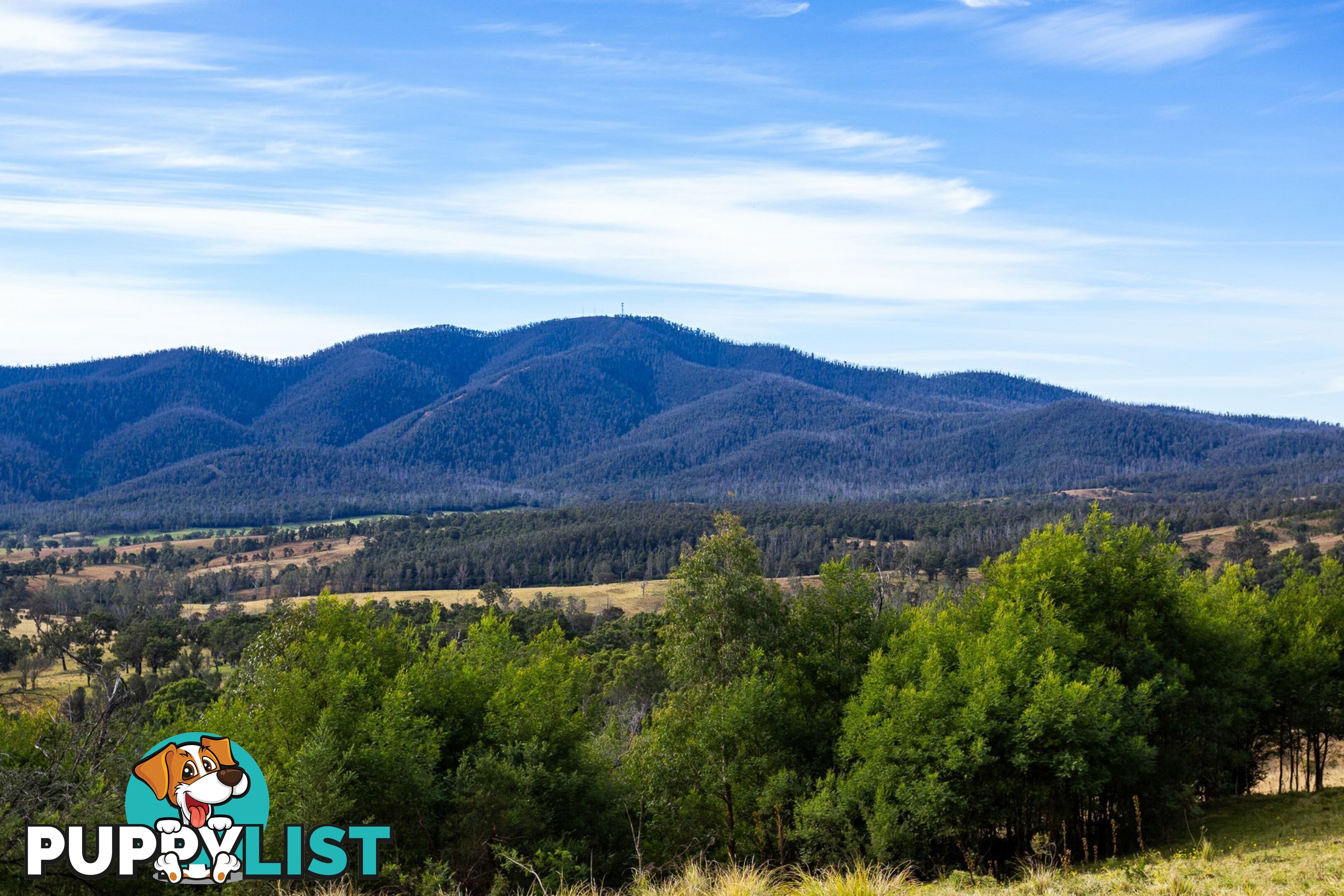 Lot 63 Watts Road COBARGO NSW 2550