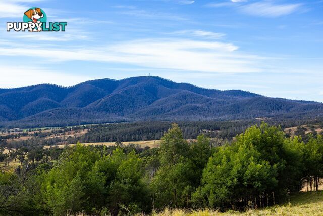 Lot 63 Watts Road COBARGO NSW 2550