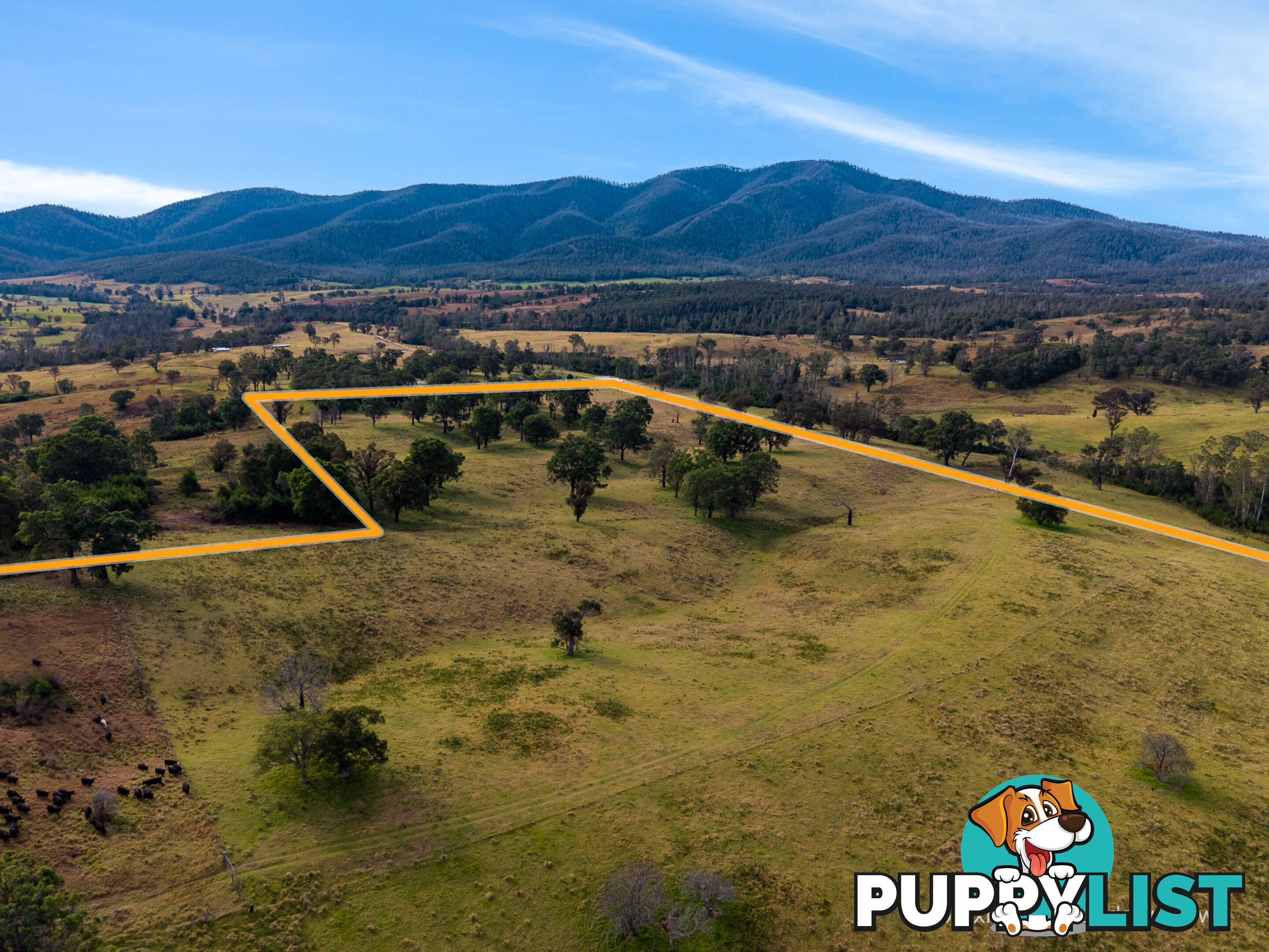 Lot 63 Watts Road COBARGO NSW 2550