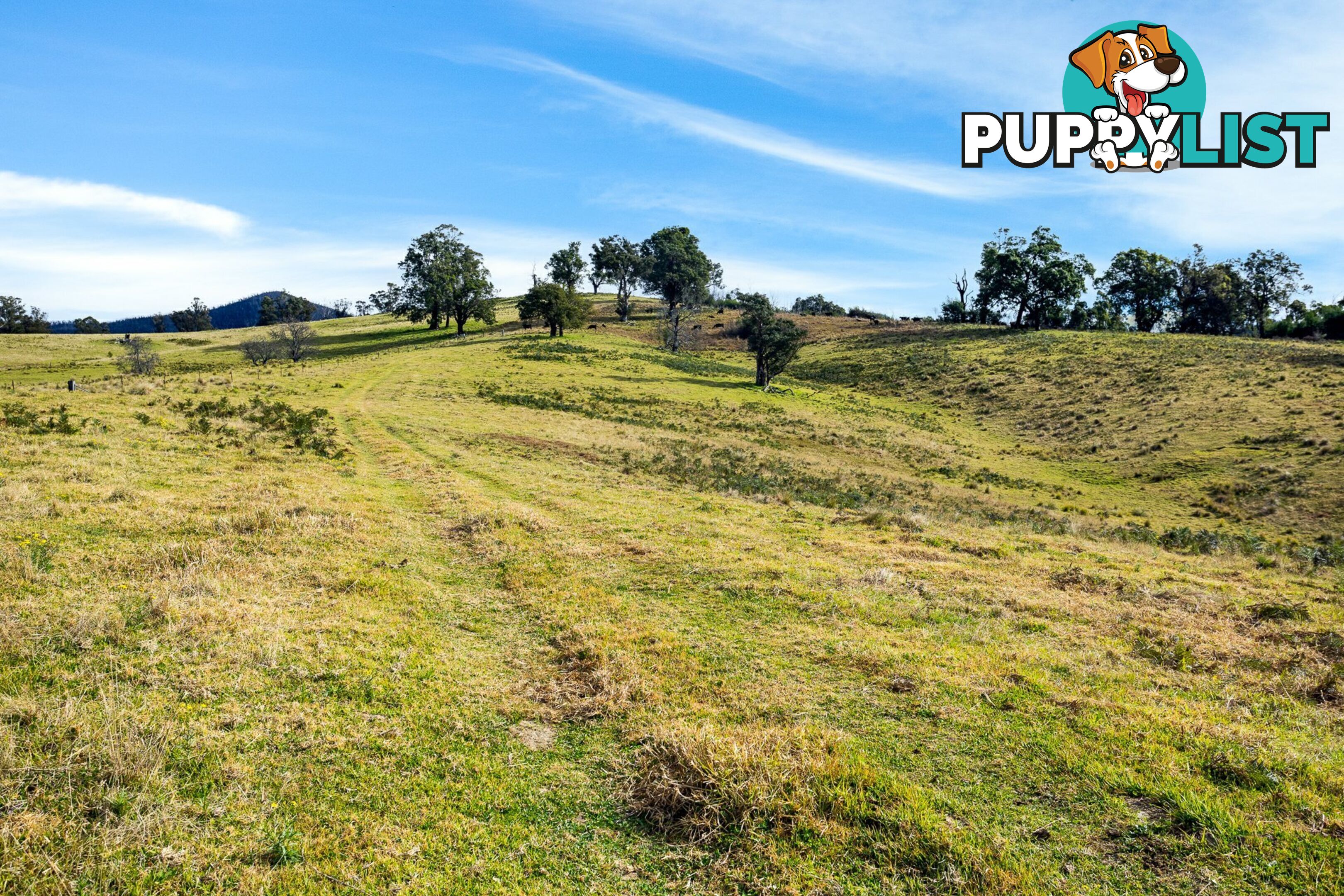 Lot 63 Watts Road COBARGO NSW 2550