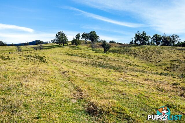 Lot 63 Watts Road COBARGO NSW 2550