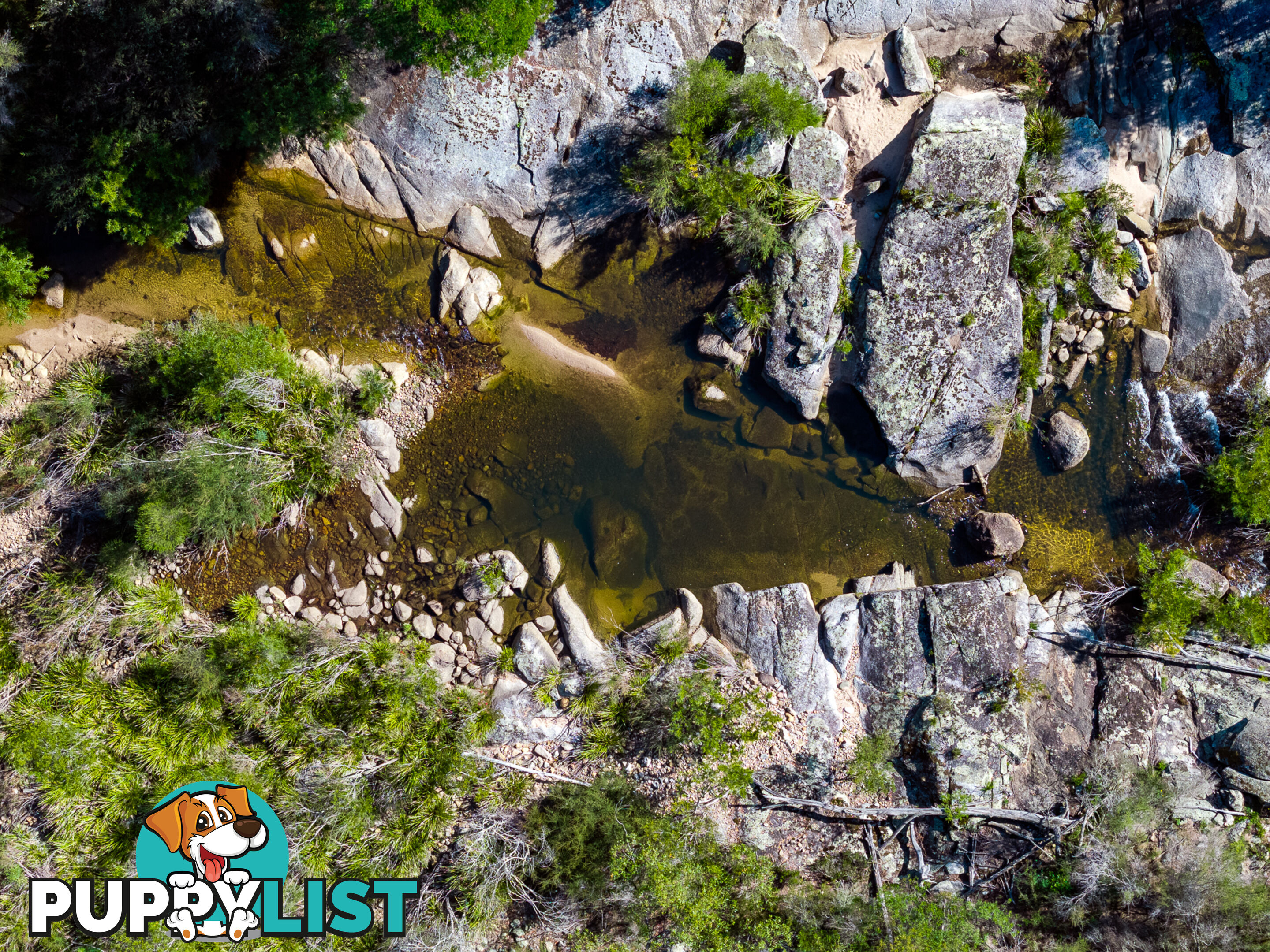 Lot 26 Towamba Road BURRAGATE NSW 2550