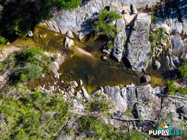 Lot 26 Towamba Road BURRAGATE NSW 2550
