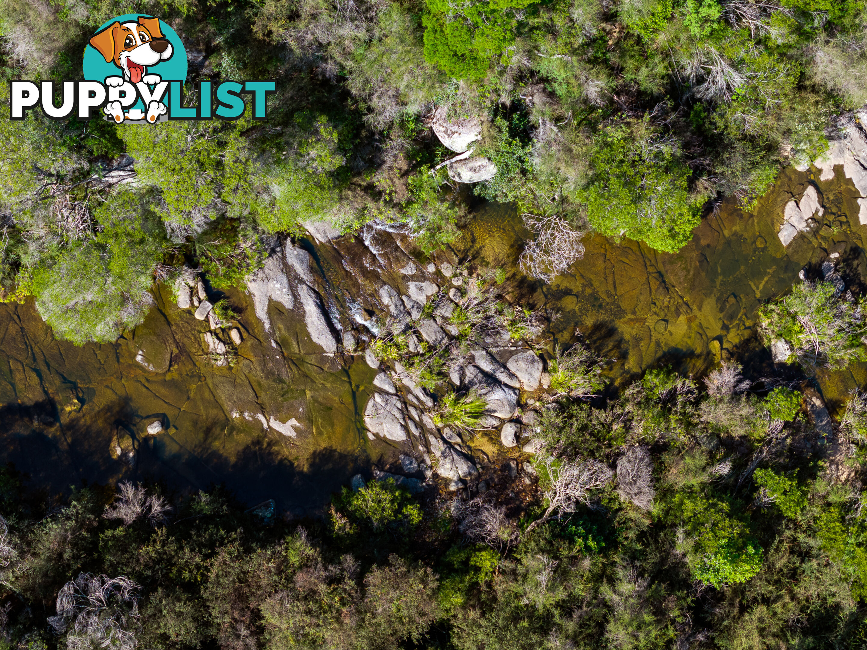 Lot 26 Towamba Road BURRAGATE NSW 2550