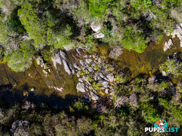 Lot 26 Towamba Road BURRAGATE NSW 2550