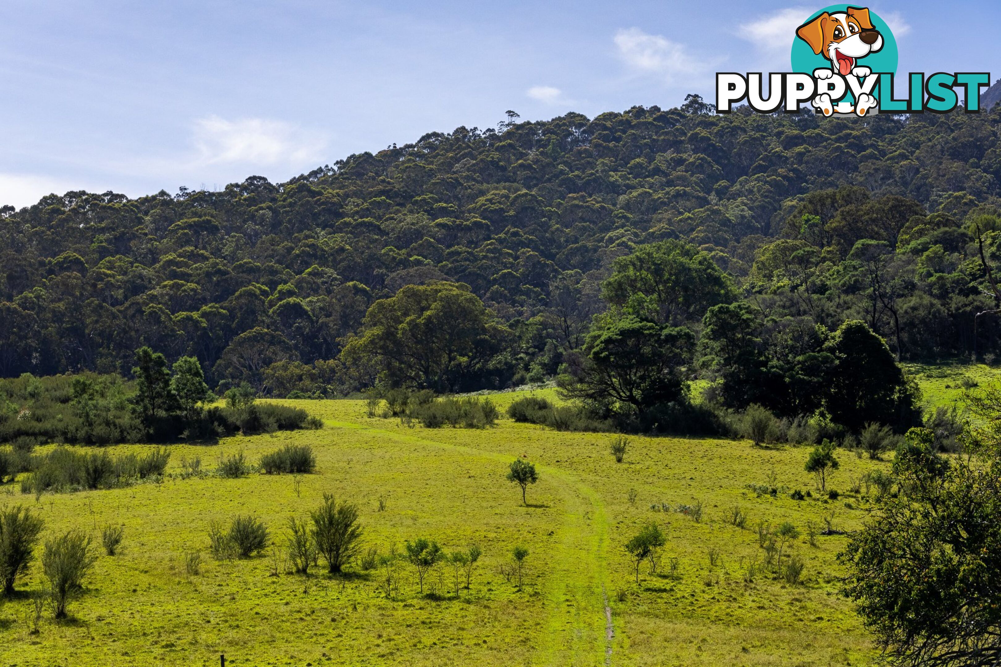 Lot 26 Towamba Road BURRAGATE NSW 2550