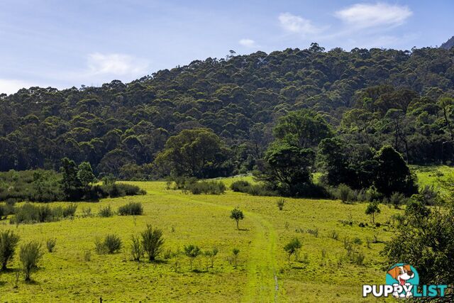 Lot 26 Towamba Road BURRAGATE NSW 2550
