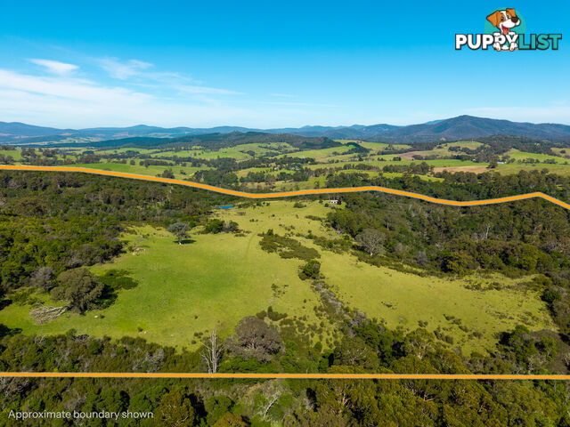 Lot 26 Towamba Road BURRAGATE NSW 2550