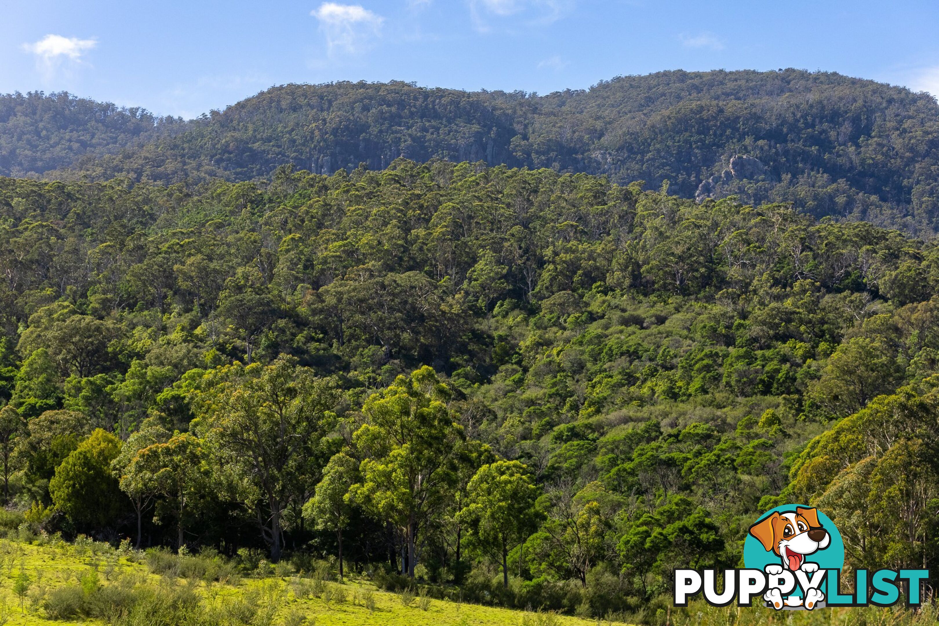 Lot 26 Towamba Road BURRAGATE NSW 2550