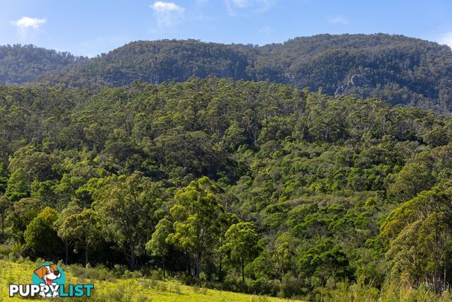 Lot 26 Towamba Road BURRAGATE NSW 2550