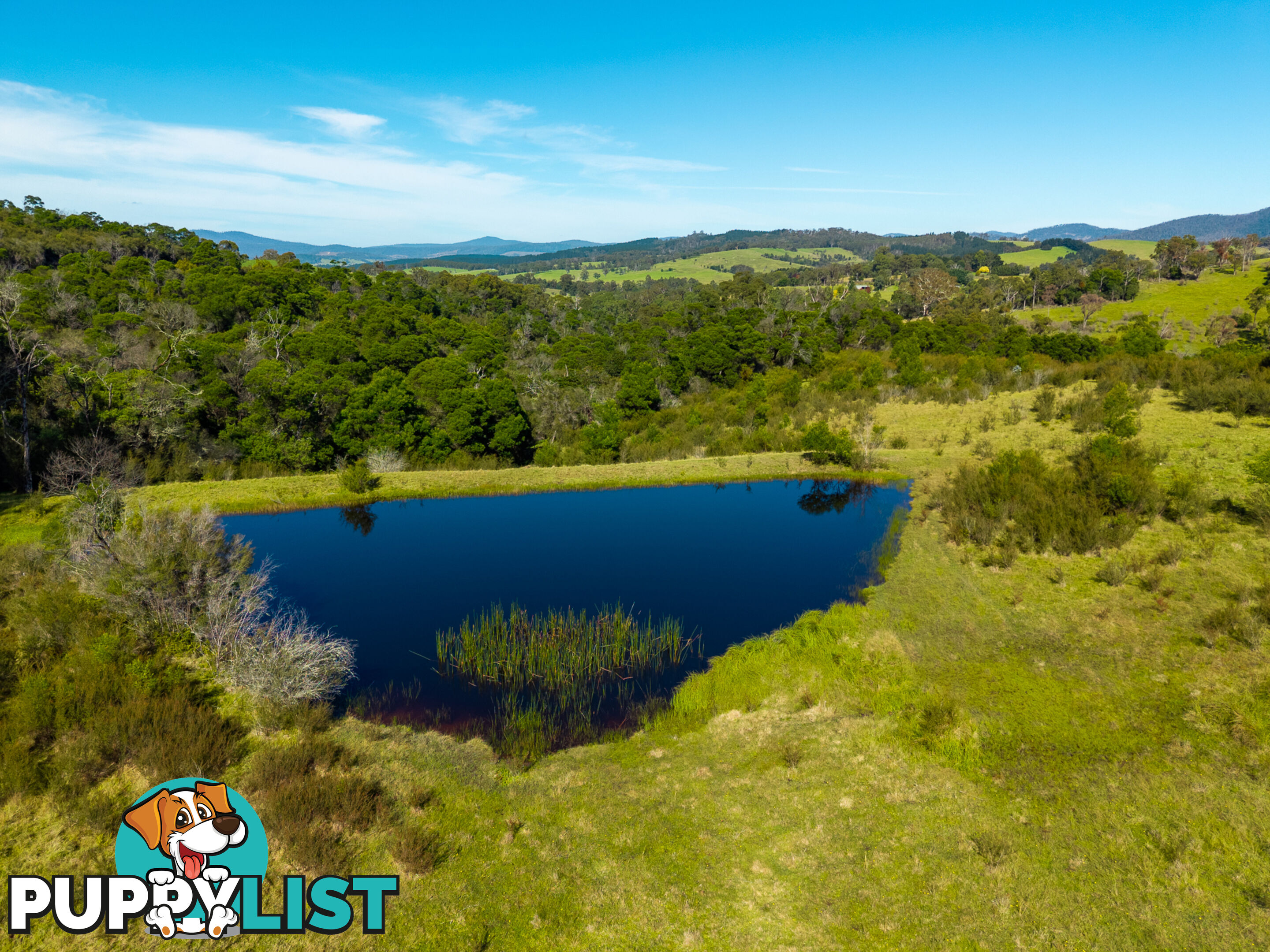 Lot 26 Towamba Road BURRAGATE NSW 2550