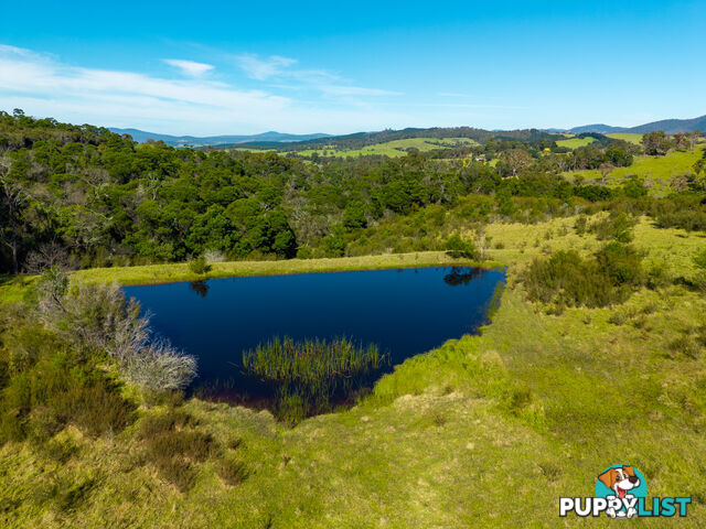 Lot 26 Towamba Road BURRAGATE NSW 2550
