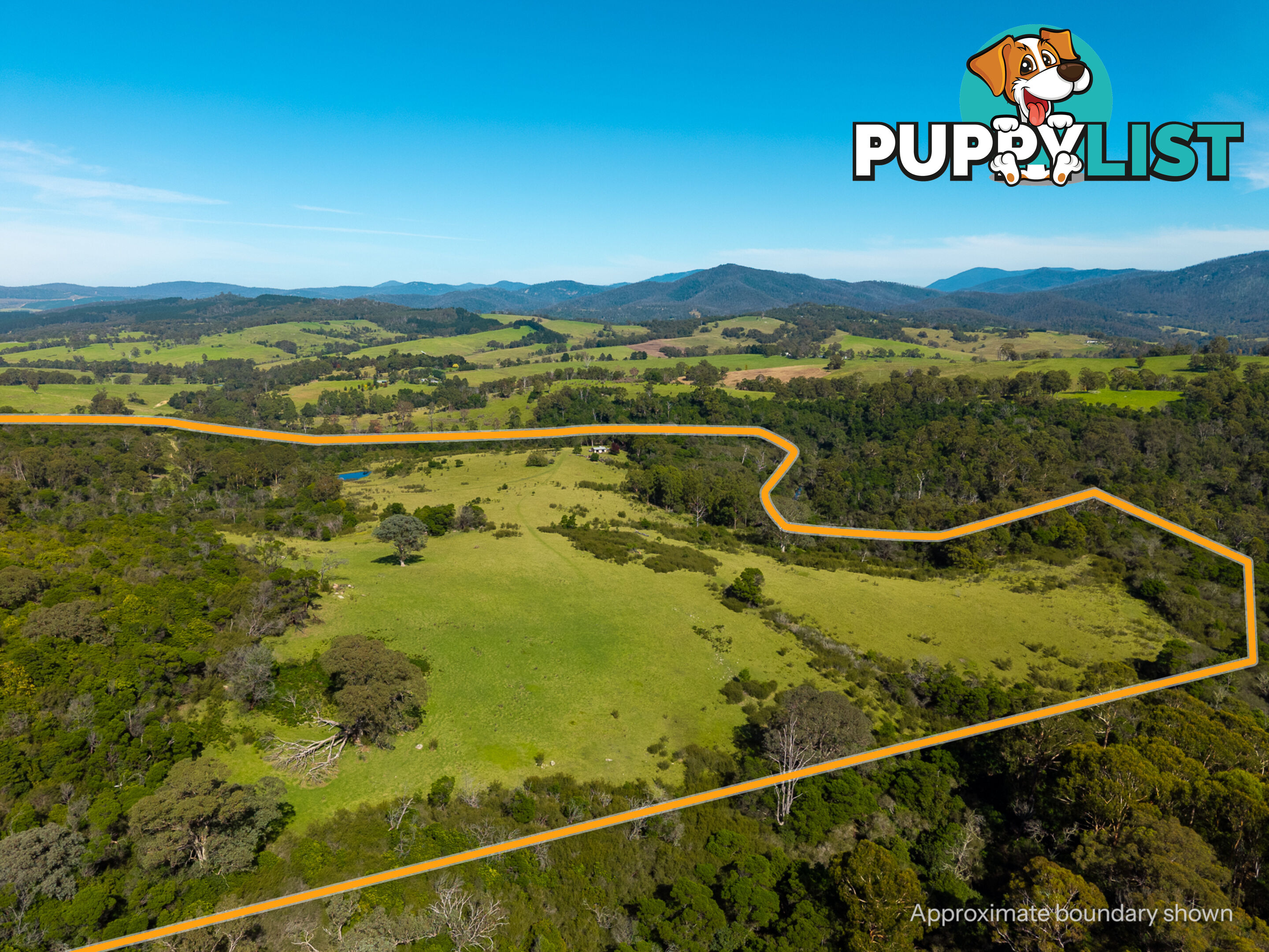 Lot 26 Towamba Road BURRAGATE NSW 2550