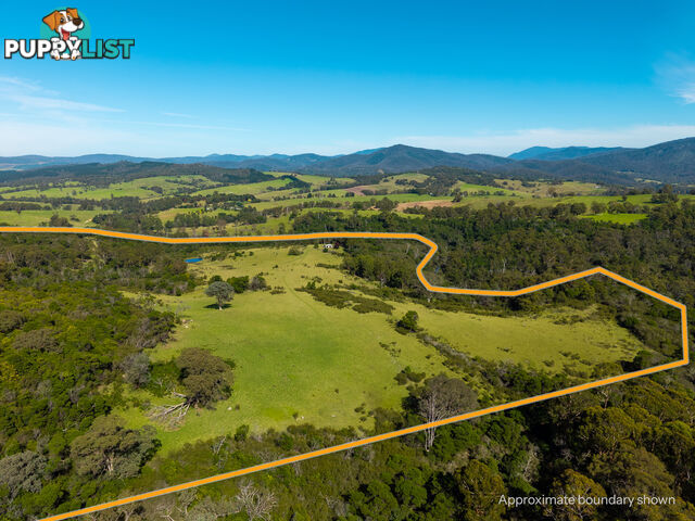 Lot 26 Towamba Road BURRAGATE NSW 2550