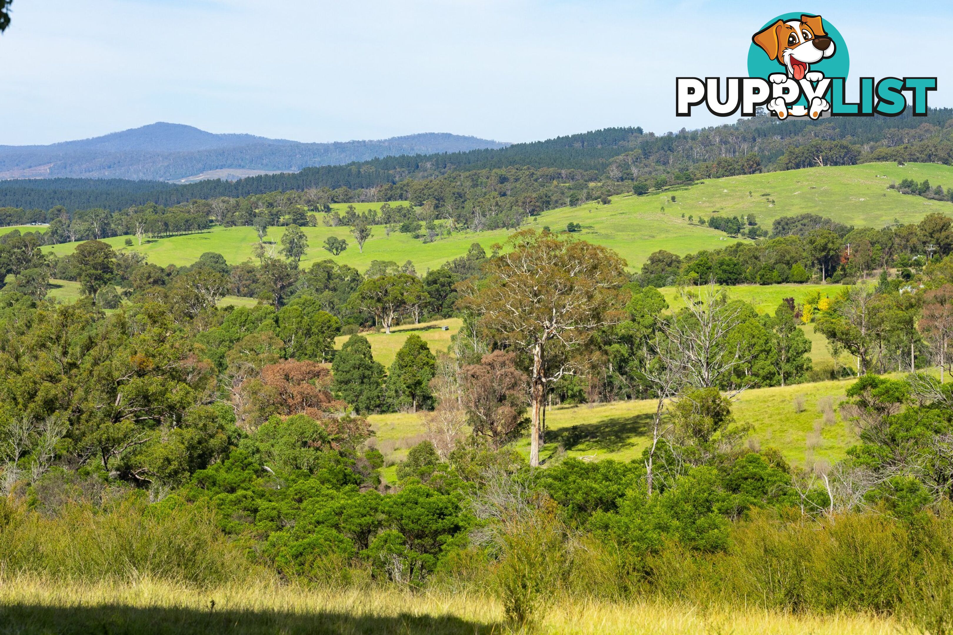 Lot 26 Towamba Road BURRAGATE NSW 2550