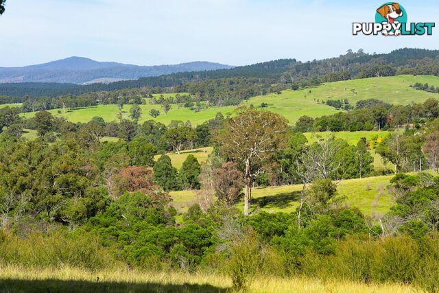Lot 26 Towamba Road BURRAGATE NSW 2550