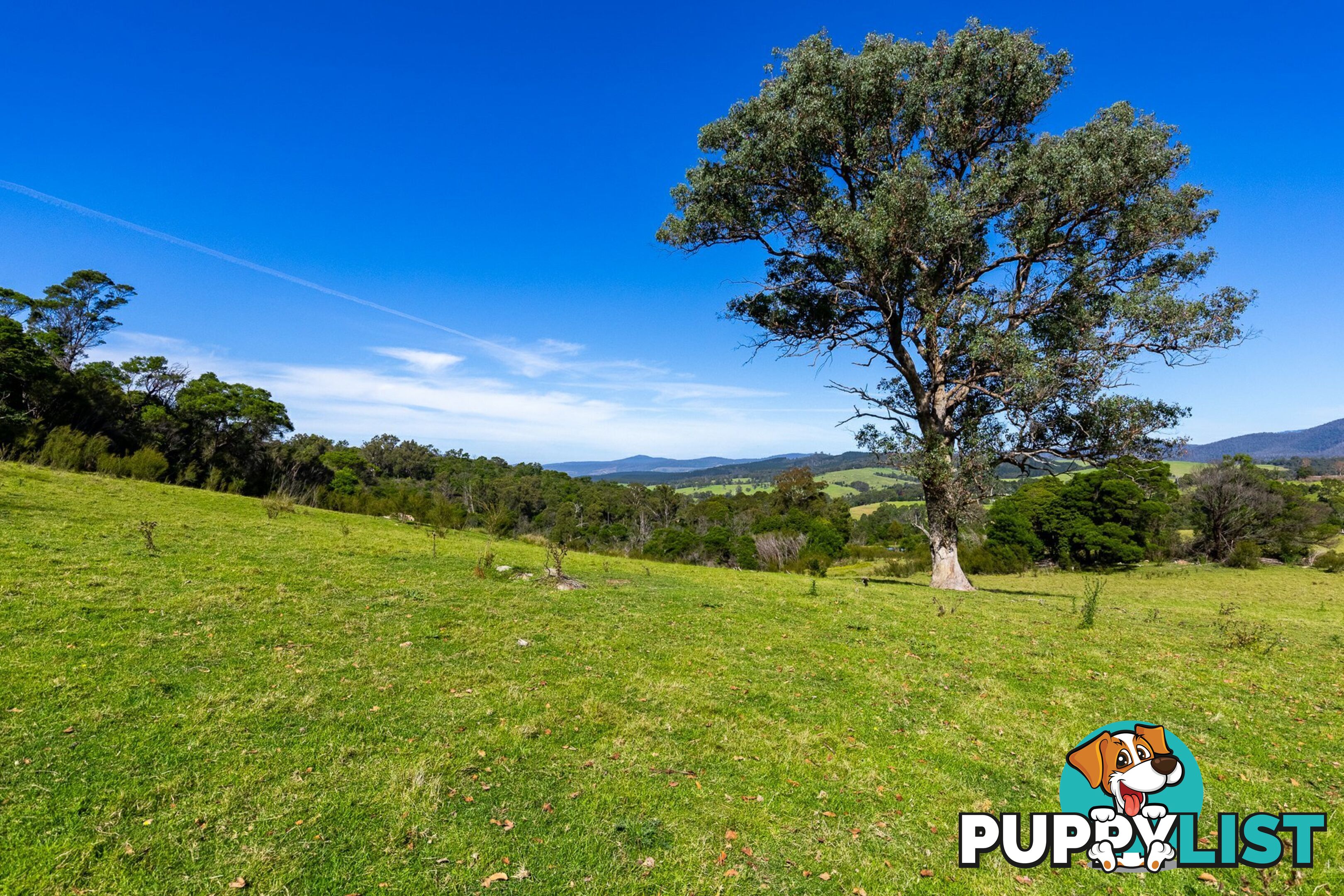 Lot 26 Towamba Road BURRAGATE NSW 2550