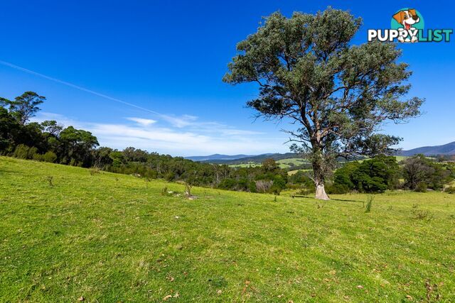 Lot 26 Towamba Road BURRAGATE NSW 2550