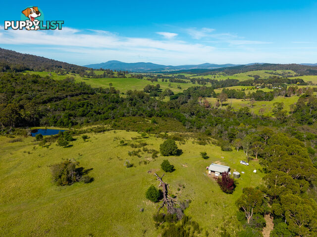 Lot 26 Towamba Road BURRAGATE NSW 2550