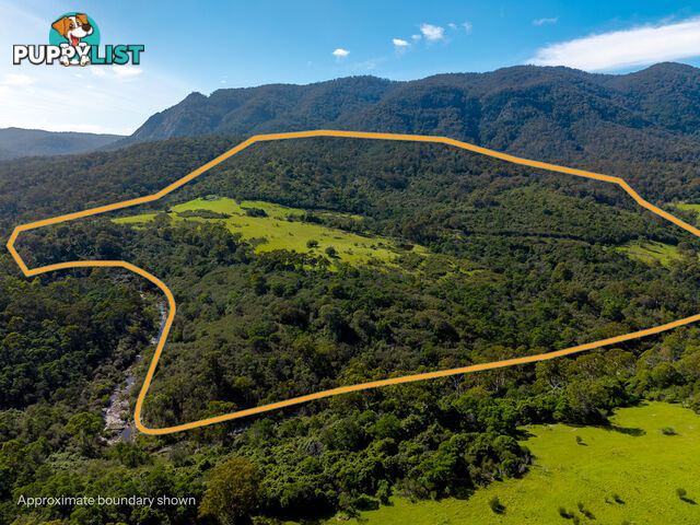 Lot 26 Towamba Road BURRAGATE NSW 2550