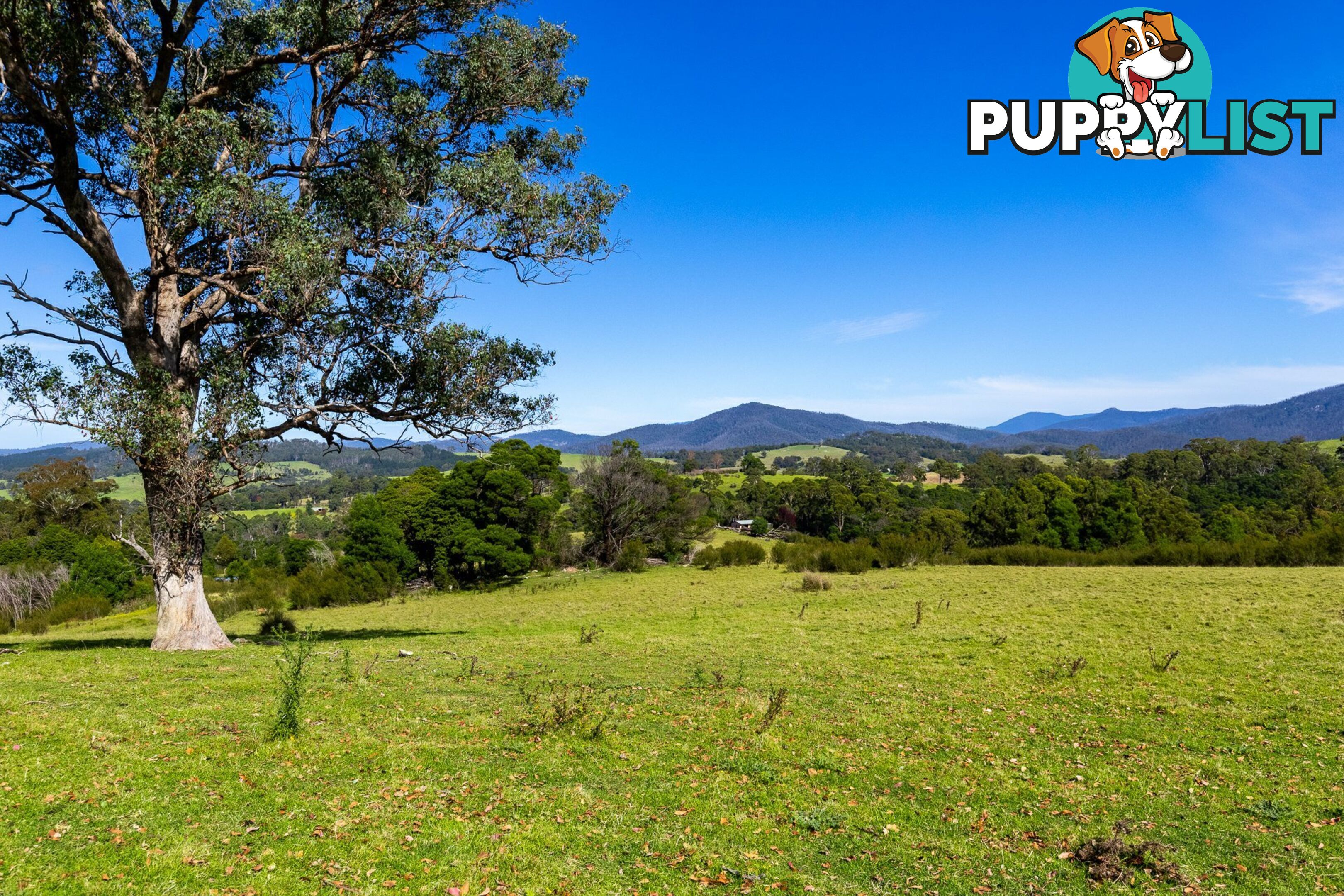 Lot 26 Towamba Road BURRAGATE NSW 2550