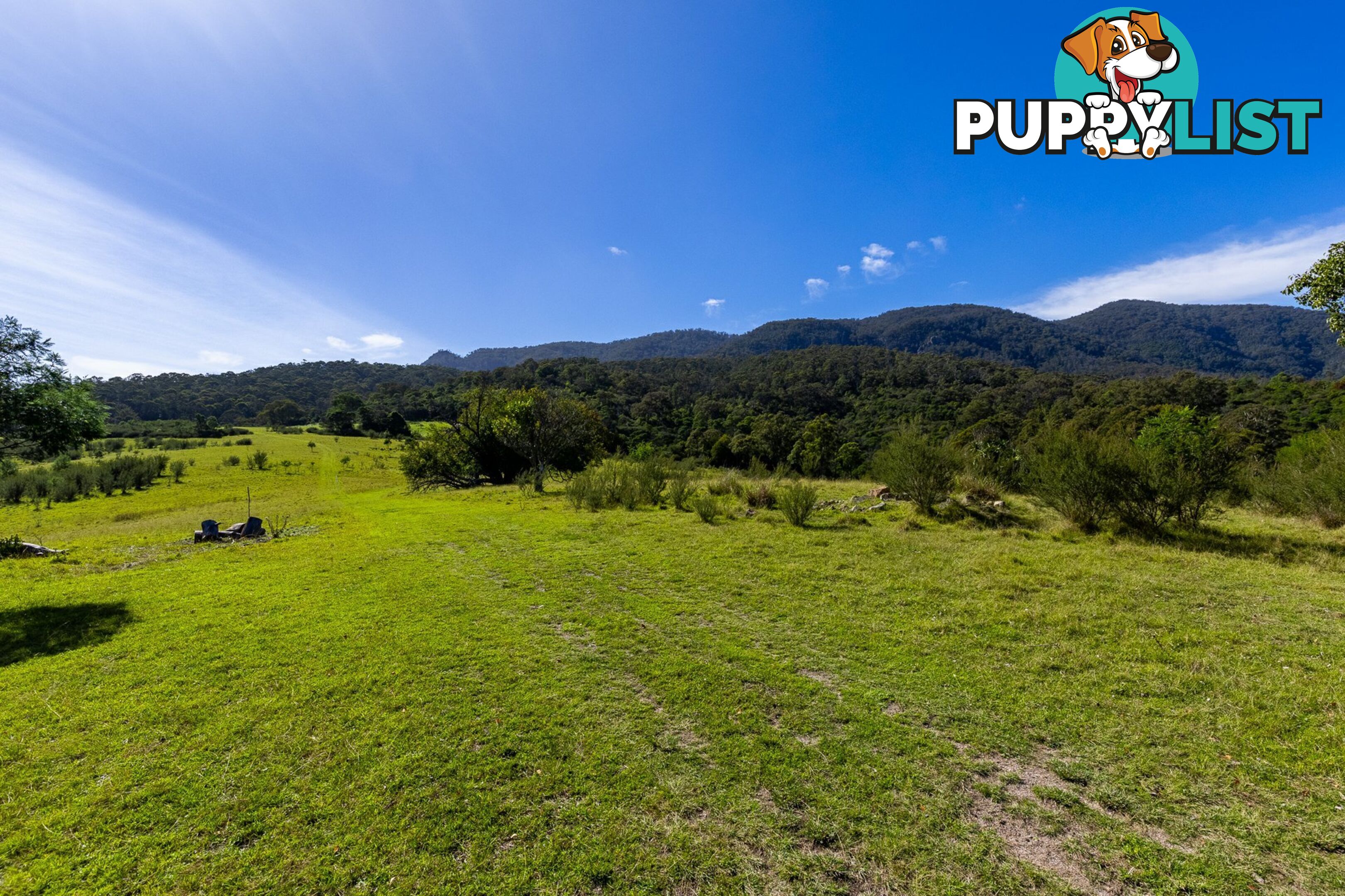 Lot 26 Towamba Road BURRAGATE NSW 2550