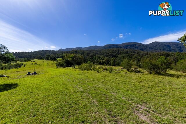 Lot 26 Towamba Road BURRAGATE NSW 2550
