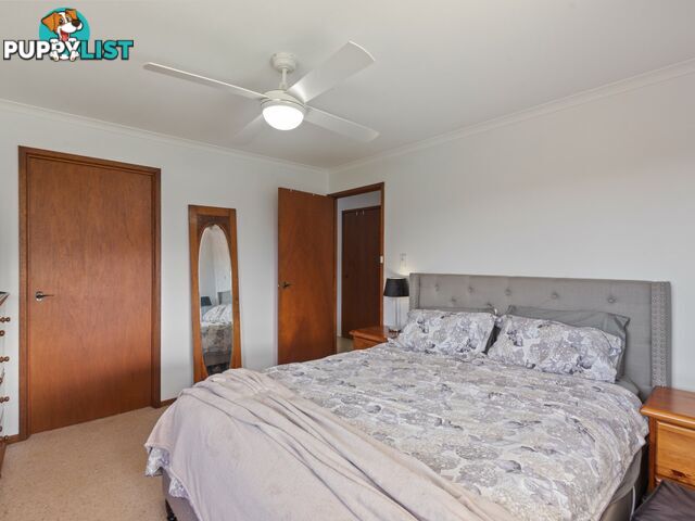 57 Robertson Street BEMBOKA NSW 2550