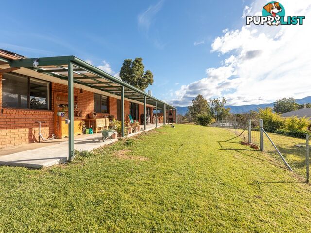 57 Robertson Street BEMBOKA NSW 2550