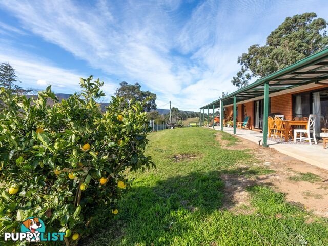 57 Robertson Street BEMBOKA NSW 2550