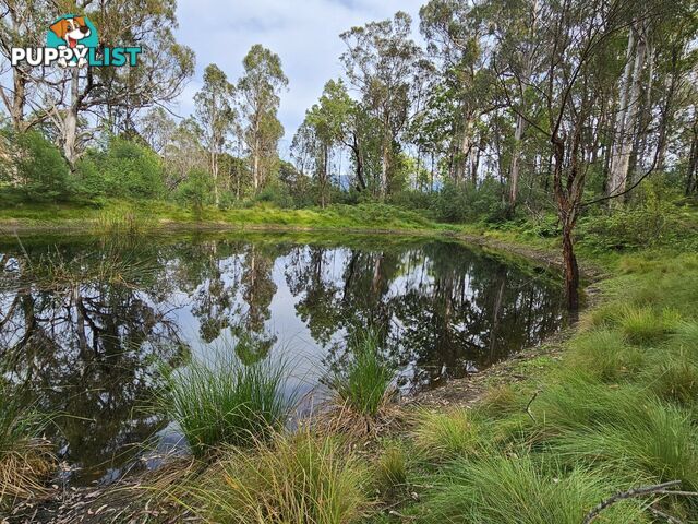 492 Yankees Gap Road BEMBOKA NSW 2550