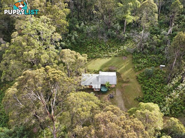 492 Yankees Gap Road BEMBOKA NSW 2550