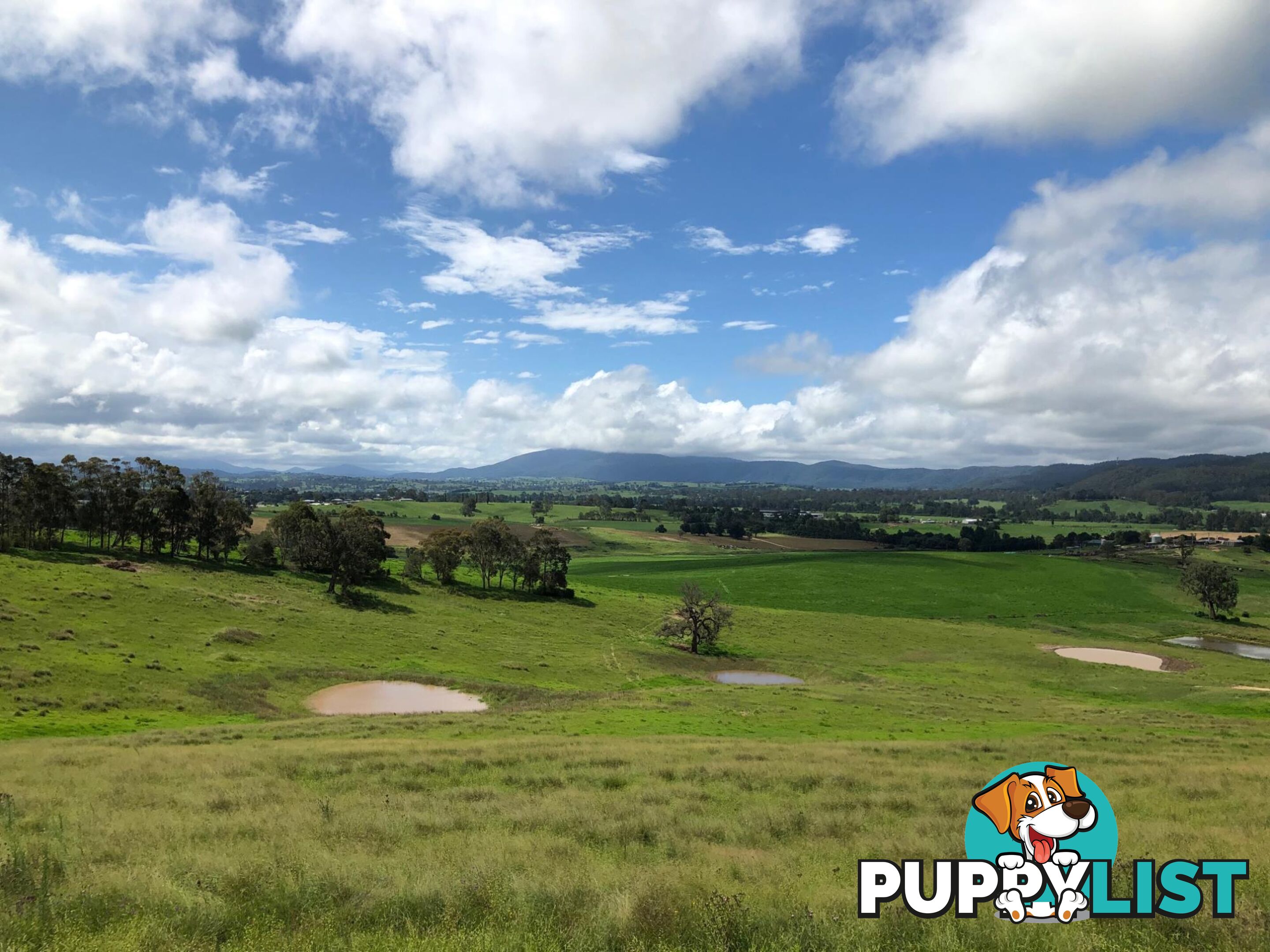 Lot 207 Wumbalwarra Drive BEGA NSW 2550