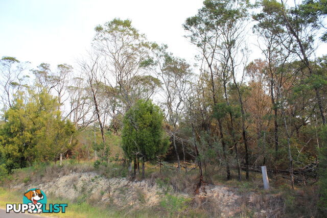 Lot 69 Nethercote Road PAMBULA NSW 2549