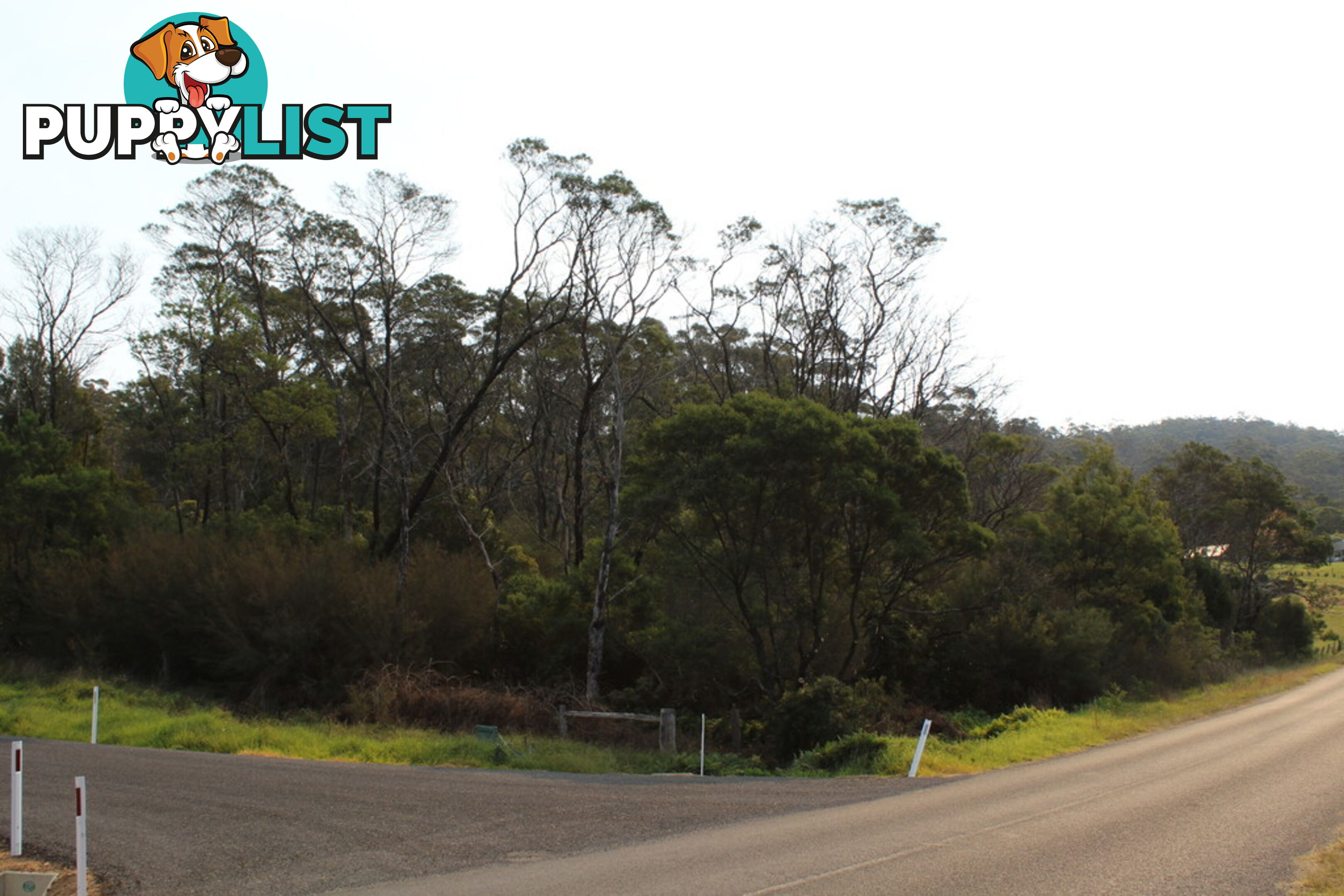 Lot 69 Nethercote Road PAMBULA NSW 2549