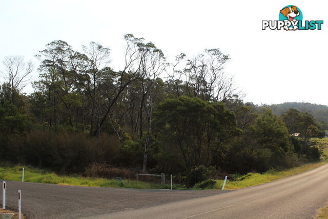 Lot 69 Nethercote Road PAMBULA NSW 2549