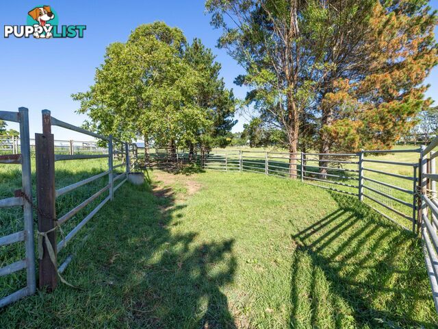 684 West Kameruka Road CANDELO NSW 2550