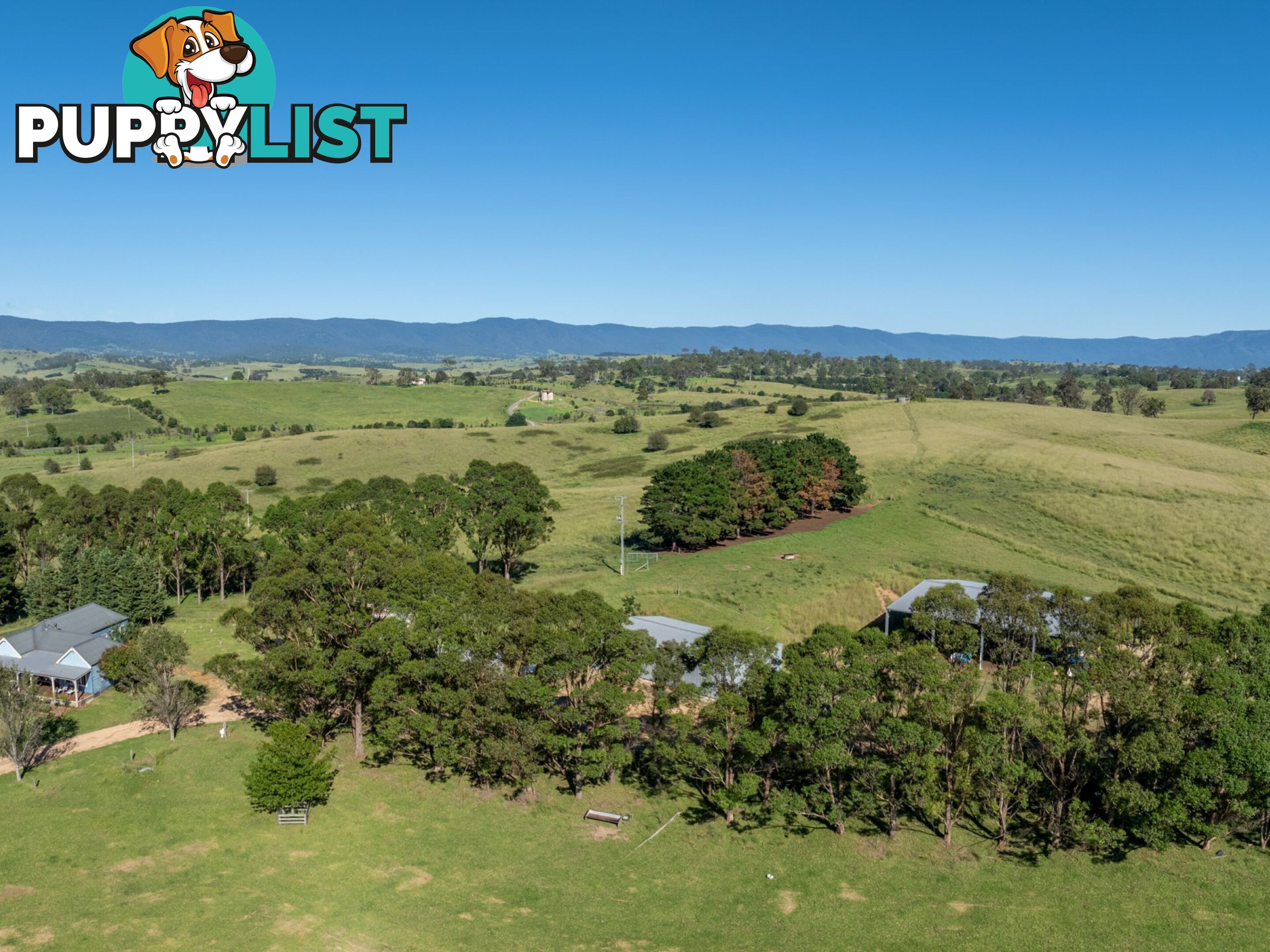 684 West Kameruka Road CANDELO NSW 2550