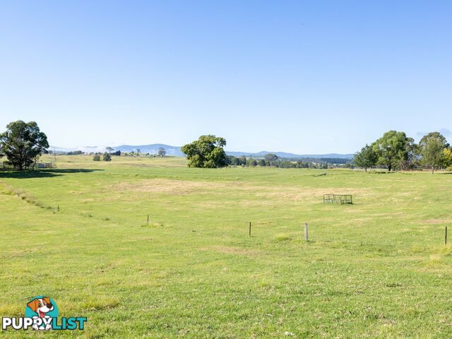 684 West Kameruka Road CANDELO NSW 2550