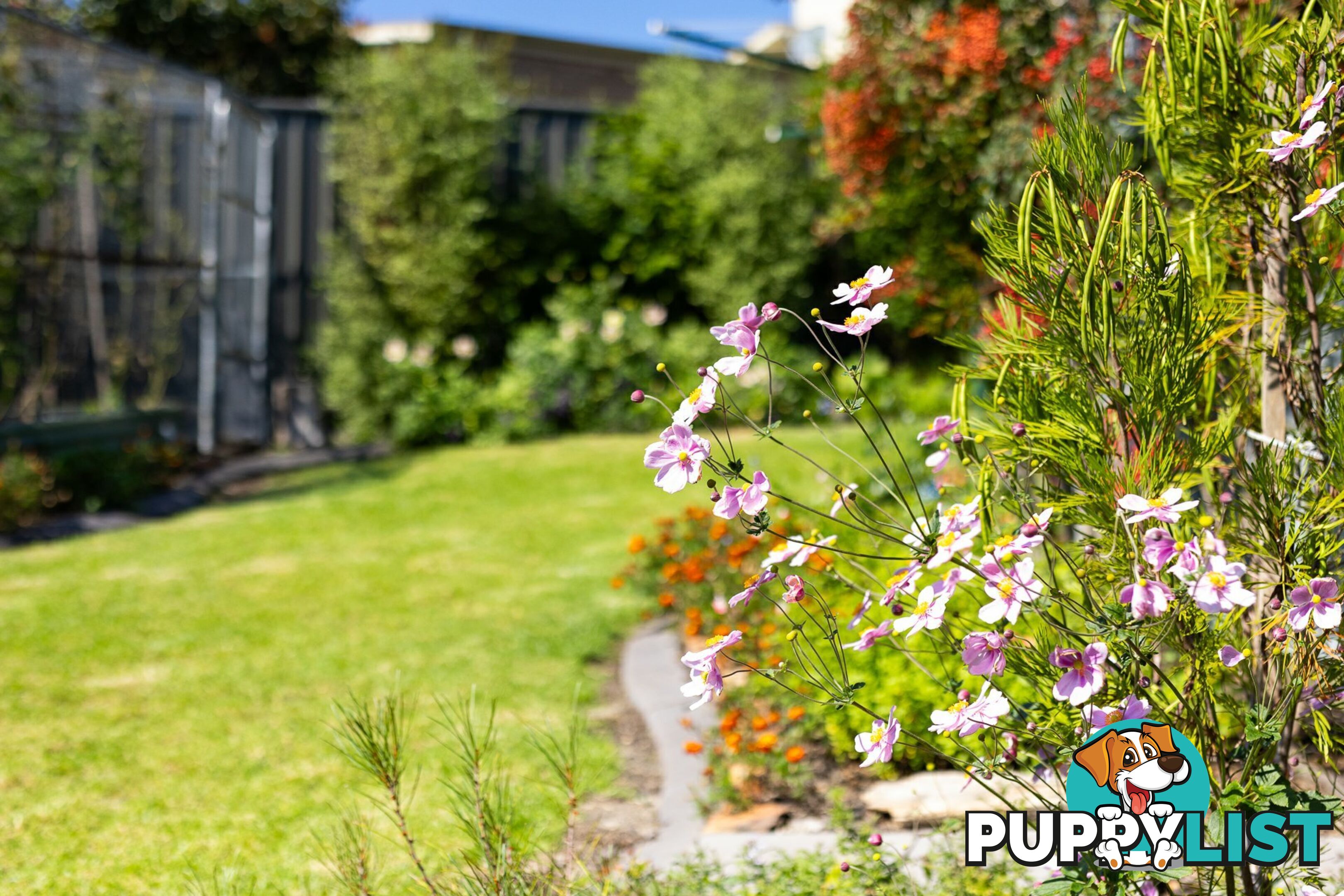 8 Killarney Road TATHRA NSW 2550