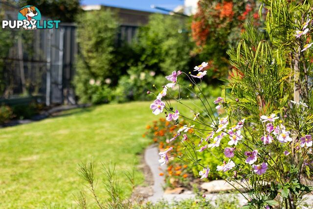 8 Killarney Road TATHRA NSW 2550